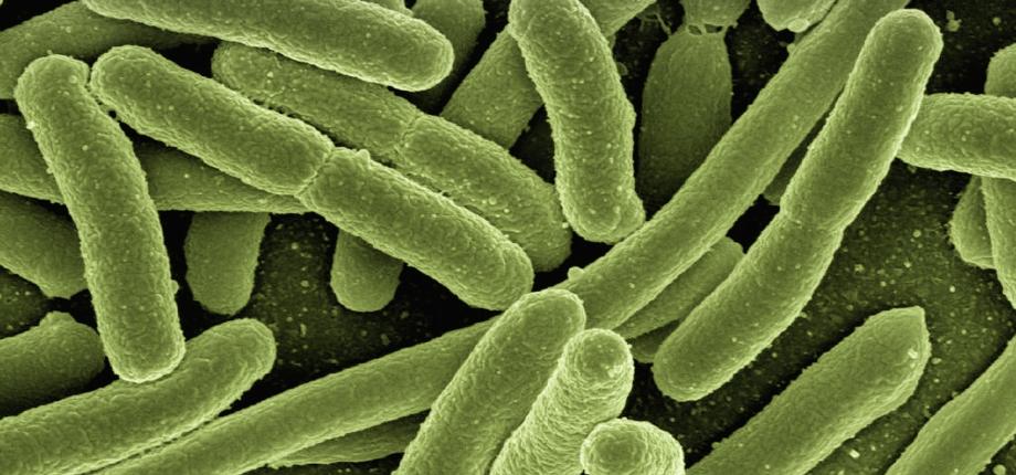 Antimicrobial resistance: prevention for a better cure